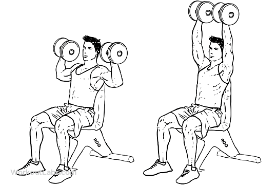 slow with dumbbells