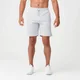 Pantaloncini da palestra Tru-Fit - Grigio chiaro