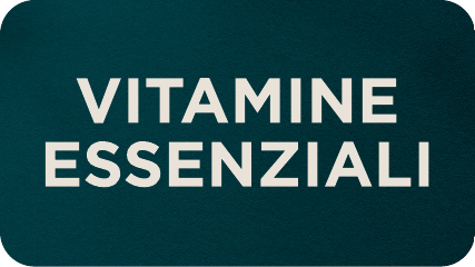 shop our essentials range