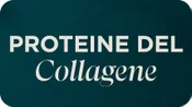 Collagen Protein