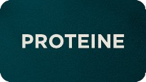 shop protein supplements