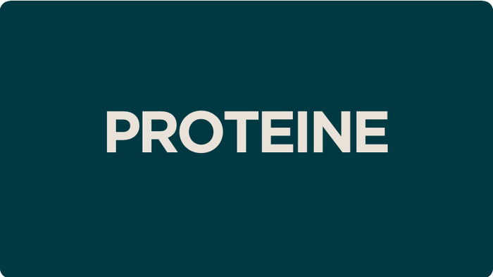 shop protein supplements