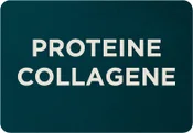 Collagen Protein